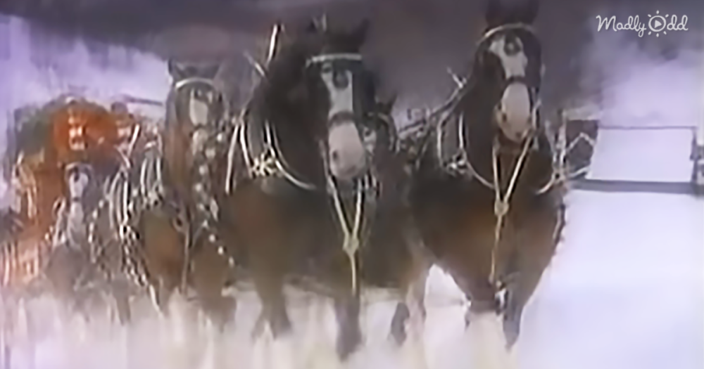 This Budweiser Christmas Commercial From 1987 Will Bring Back Memories