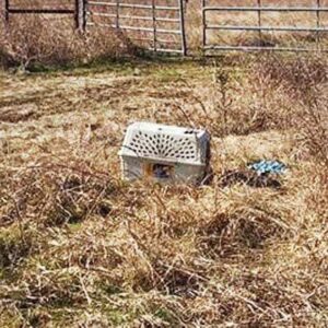 Bikers see an abandoned cage and what they find inside changes their lives forever