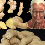 What Happens To Your Body When You Eat Ginger Everyday